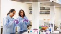 BRIDGE staff members processing samples in the laboratory